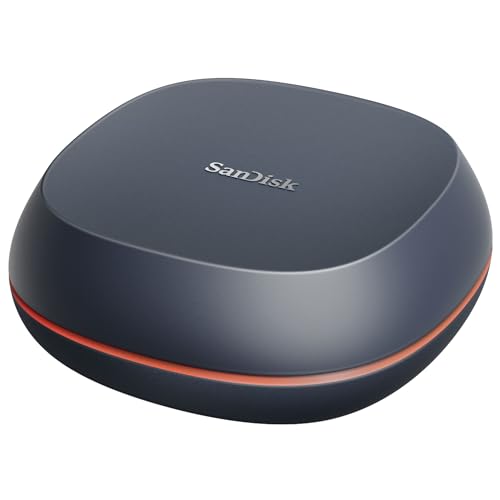 SanDisk Desk Drive SSD 8 TB – bis zu 1.000 MB/s Lesen – Schwarz
